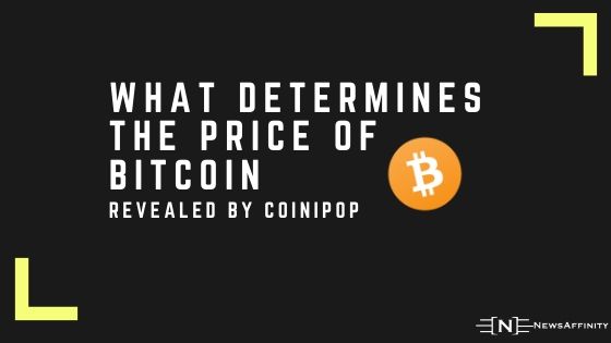 Coinipop Revealing- What Determines the price of Bitcoin