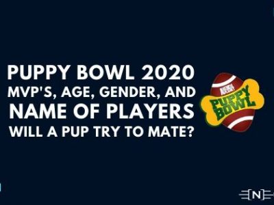 MVP's, Age, Gender, and Name of players at Puppy Bowl 2020 Will a pup try to mate