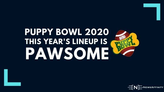 Puppy Bowl In 2020 This Year's Lineup Is Pawsome
