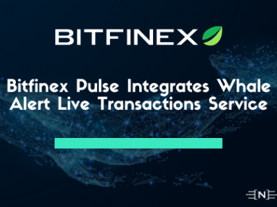 Bitfinex Pulse Integrates Whale Alert Live Transactions Service