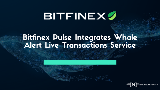 Bitfinex Pulse Integrates Whale Alert Live Transactions Service