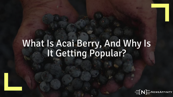 What Is Acai Berry, And Why Is It Getting Popular?