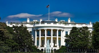 Tech stocks: corporations do not prepare for the scenario that Trump recognizes the choice