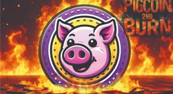 Pigcoin Successfully Burns Another 30 Billion Tokens, Strengthening its Ecosystem!